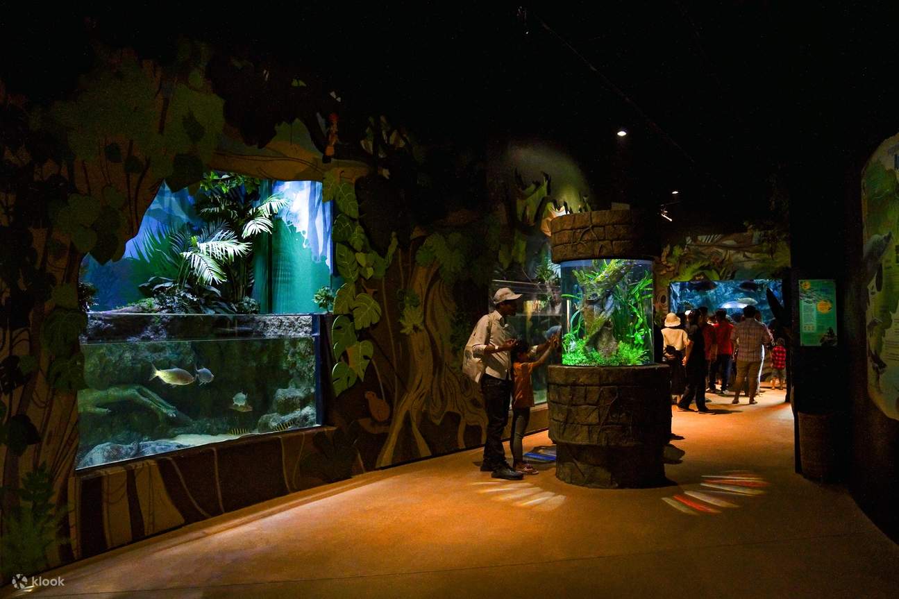 Vé Vào Cửa Cả Ngày | Angkor Wildlife & Aquarium